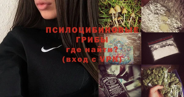 крисы Аркадак