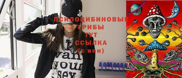 крисы Аркадак