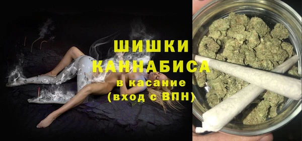 дмт Арсеньев