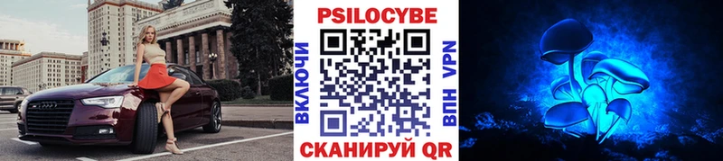 Псилоцибиновые грибы Psilocybe  Бабаево 